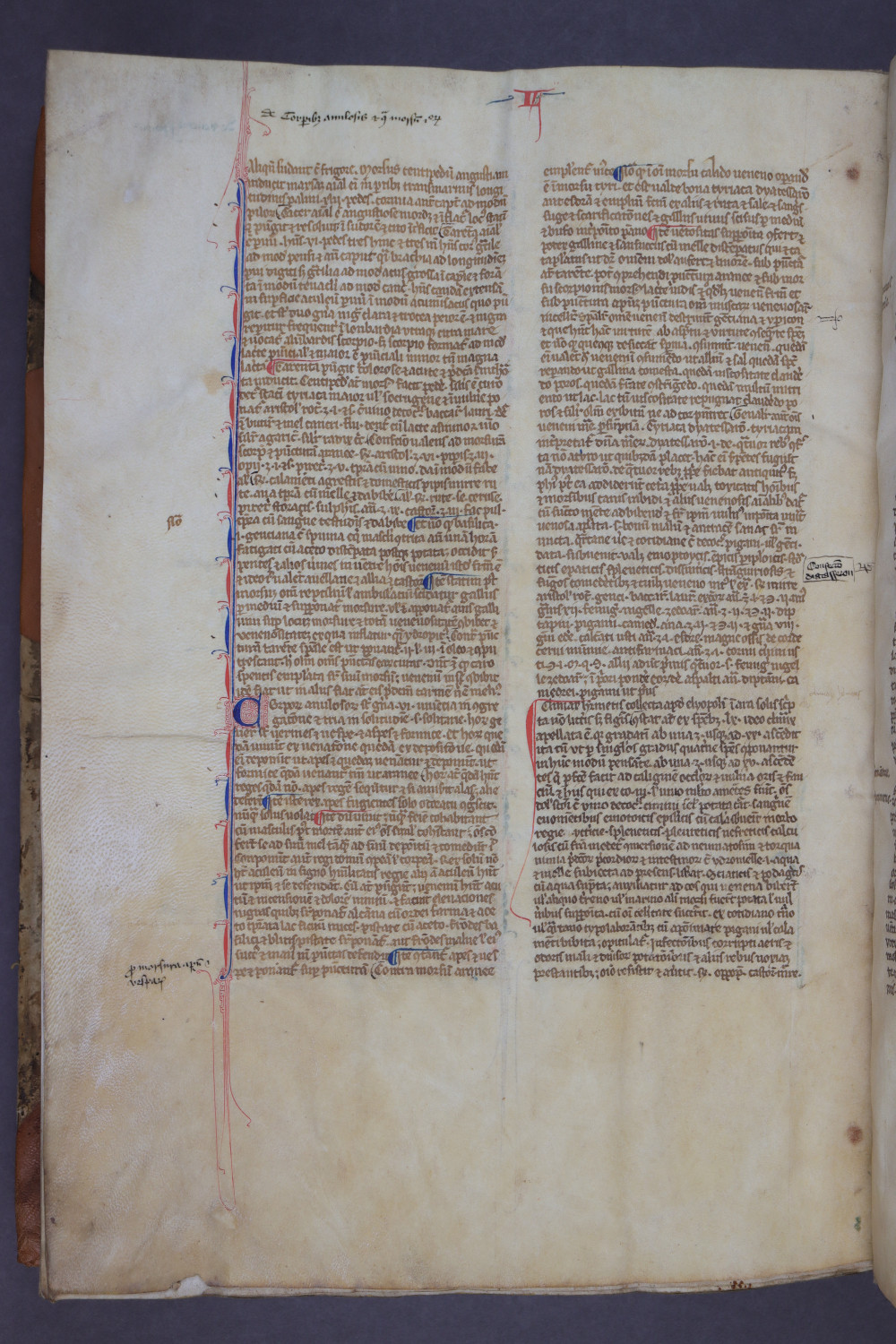 Folio 162 verso